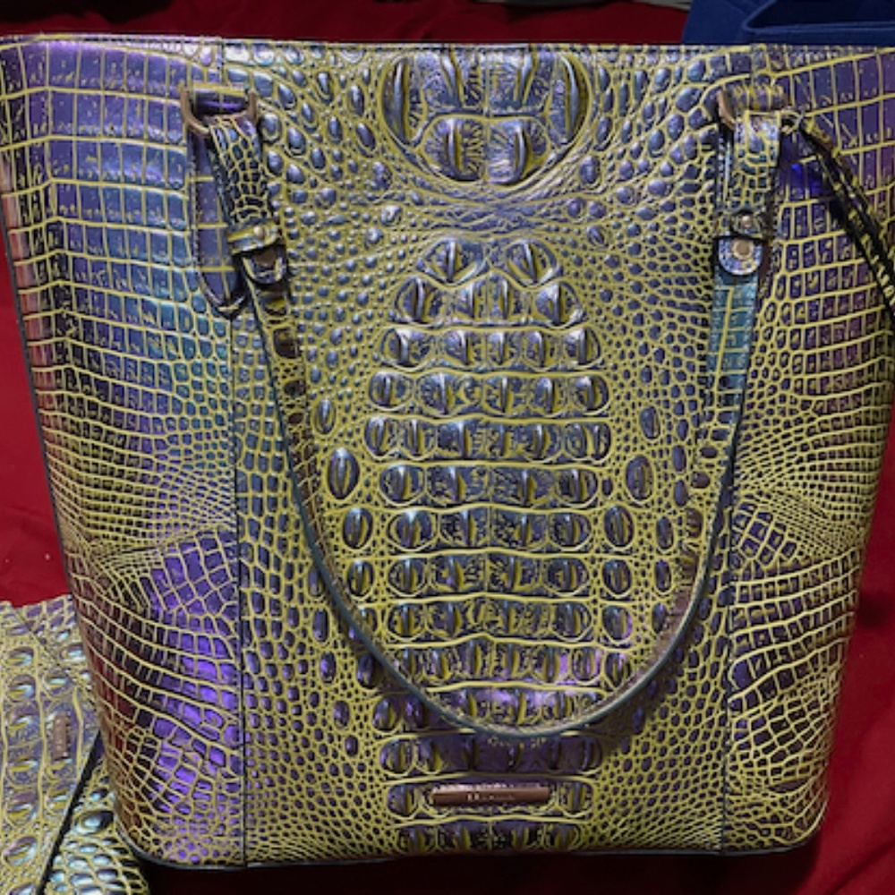 Brahmin Abigail Illuminate Melbourne bag purse tote LIGHTLY used